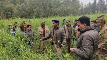 Unnao girl body found in field