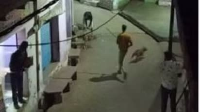 Agra Crime Dog beaten