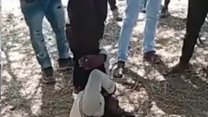 Udaipur News shocking crime stories watch video and cctv footage