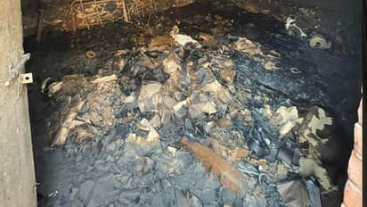 shocking crime stories jaipur news The servant burnt down the owner's factory in Rajasthan
