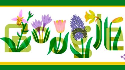 Google Doodle