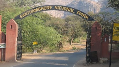 Ranthambore Park 