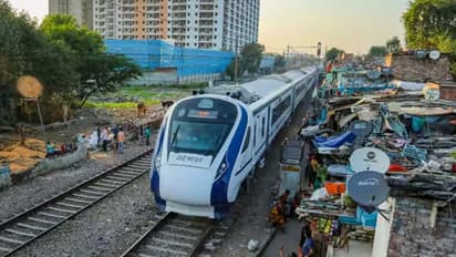 alwar news old man and cow died together in vande bharat express train accident 