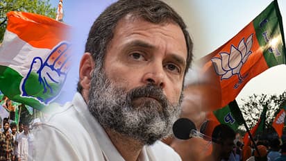 Surat court order dismissing Rahuls plea Congress says will move HC BJP hails verdict as victory of people