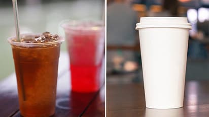 Paper Cups Are Just as Toxic as Plastic Cups Here is Why bsm