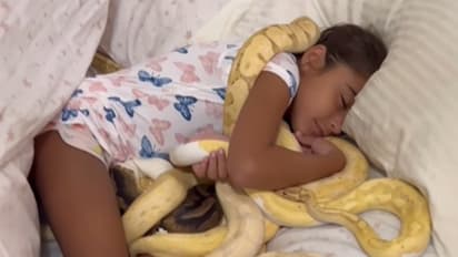 Sleeping with snakes