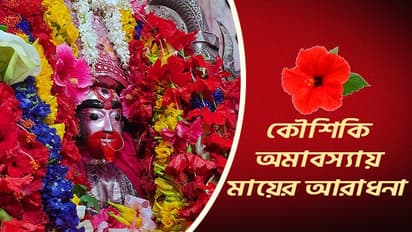 kaushiki Amavasya 2023 