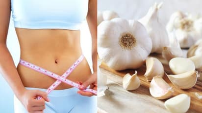 garlic belly fat