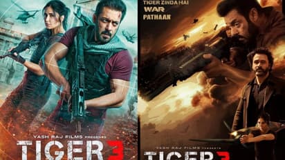 tiger 3 movie, salman khan