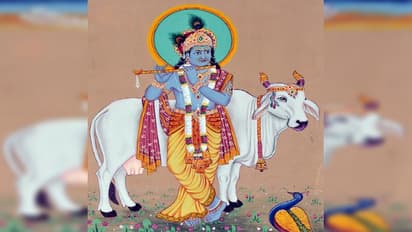 krishna