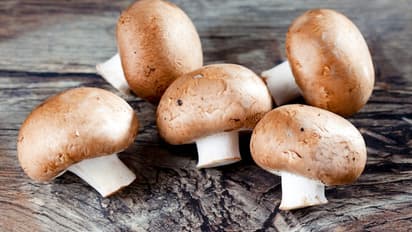 7 types of Mushrooms