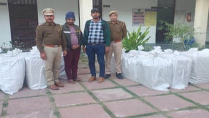 festival of Makar Sankranti