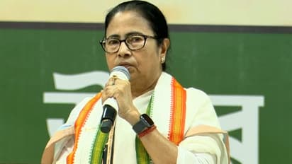 In 2024 elections opposition alliance India will fight in all seats says Mamata at TMCs Deganga meeting bsm