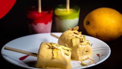 Holi 2024 misti Mukh of Dol Yatra is a recipe for making thandai kulpi bsm