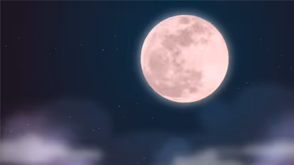 Pink Moon