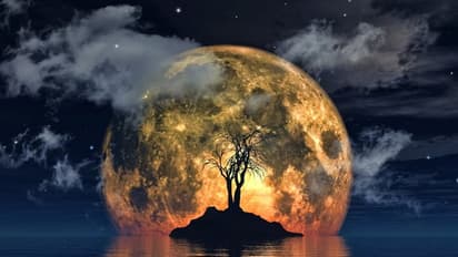 Homes can be built with fungi on the Moon and Mars says NASA bsm