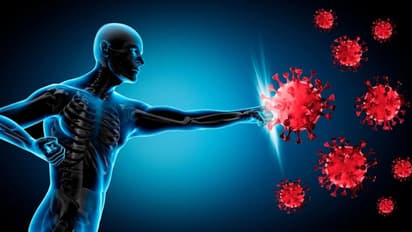 immunity boosting foods