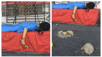 Allegation of vandalism in droher gallry of resident doctors in Calcutta Medical College bsm