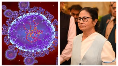 CM Mamata Banerjee sees conspiracy behind HMPV scare bsm