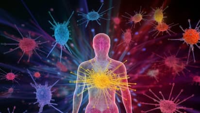 immunity boosting foods