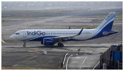 IndiGo Flight