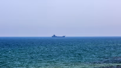 US Navy Veterans Battle PTSD and Depression With Psychedelic Therapy