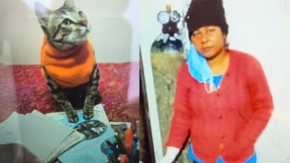 মৃত বিড়ালের সঙ্গে ২ দিন কাটিয়ে শেষ পর্যন্ত আত্মঘাতী পূজা, ঘটনার তদন্তে উত্তরপ্রদেশ পুলিশ  