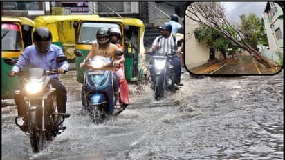 Heavy Rain Floods Bengaluru Roads, Uproots 20 Trees