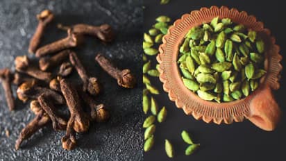 Cloves and Cardamom