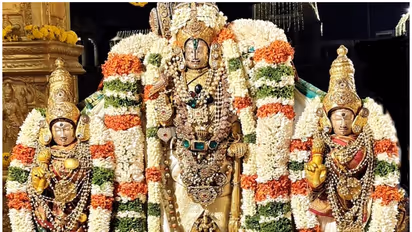 Melukote Rajamudi Utsav