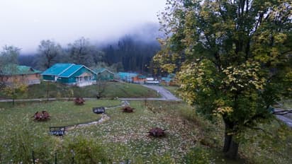 Jammu Kashmir rain 