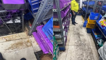 Zepto Dharavi unhygienic store