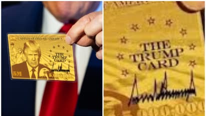 trump gold card