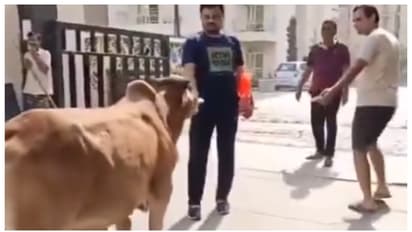 noida residents different protests against feeding street dogs