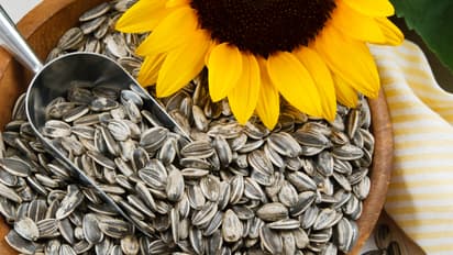 sunflower seeds