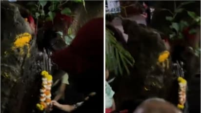 holy water from tree