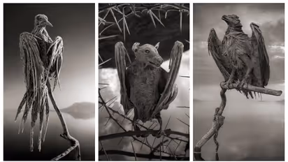 images from Lake Natron by nick brandt photography