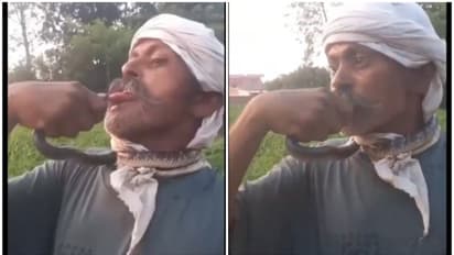 UP man tries to kiss snake to film reel, gets bitten