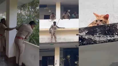 fire force rescue cat