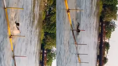 man drowns into ganga river