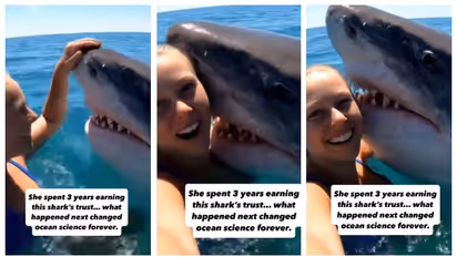 woman claims shark is her frieded