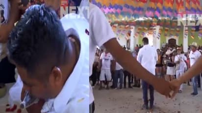 Oaxaca, Crocodile marriage