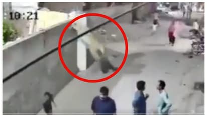 lion attacked a woman and two children in Lahore