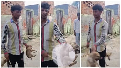 Man Thrashes Puppy With Cane