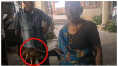 Elderly woman demanded justice against neighbour attackes her hen 