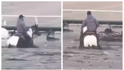 Man rides horse through a race track in flood waters 