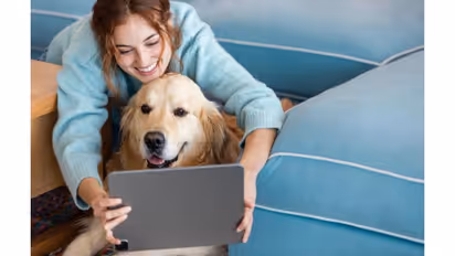 This study adopts a qualitative and exploratory approach, based on a literature review and documentary analysis of case studies and market reports.