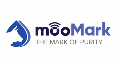 Regulating the Game: India's Journey Towards Responsible Online Gaming