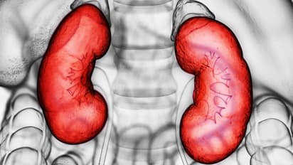 kidney health