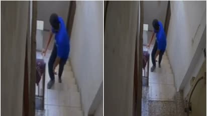 teenager detained for allegedly abusing cats 